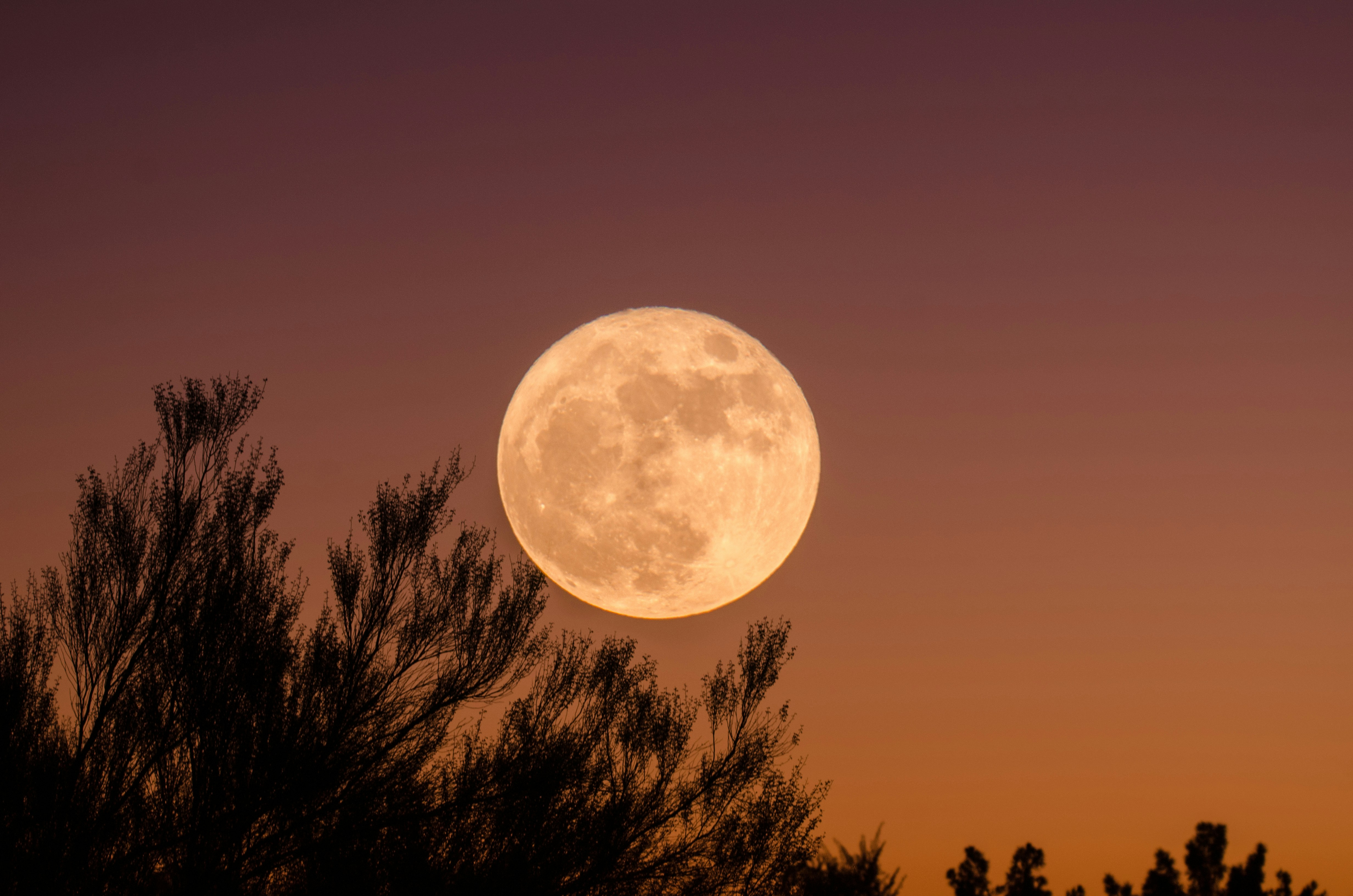 Night Moon View Point